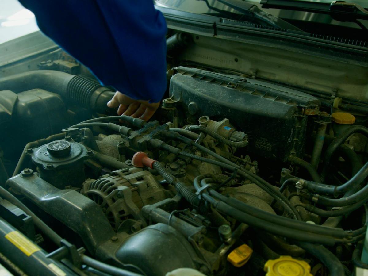 Learning about work&nbsp;occupations